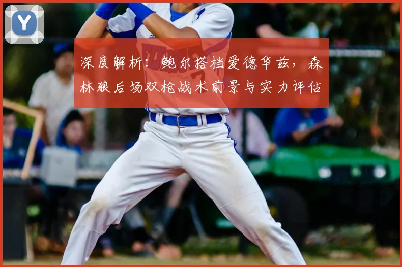 深度解析:鲍尔搭档爱德华兹,森林狼后场双枪战术前景与实力评估