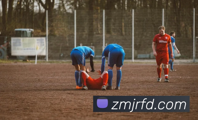 奖项证书